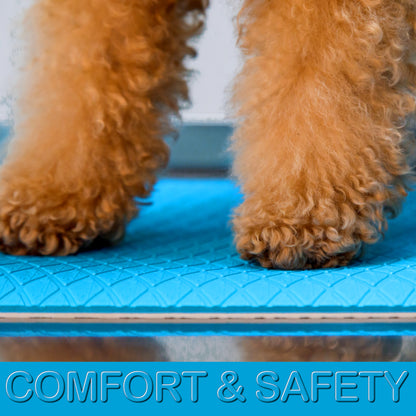 Soft cushioned light blue grooming mat with non-slip textured backing on a stainless steel grooming table