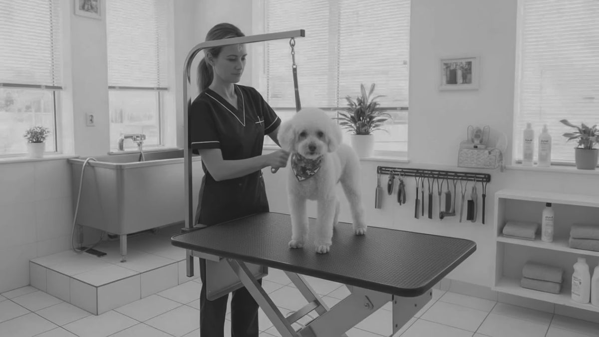 Load video: Seagull multipurpose dog grooming mat for home, salon, mobile and veterinary use with cushioned non-slip surface