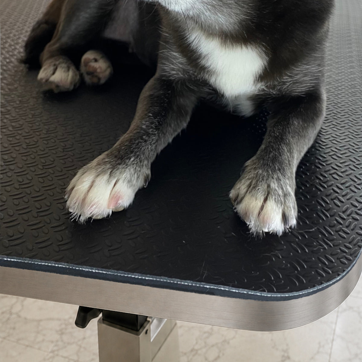Close-up of black professional dog grooming table mat with dog paws, textured grip and soft cushioned support